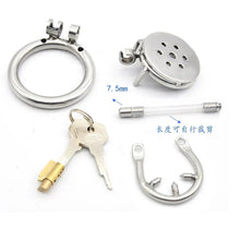 Load image into Gallery viewer, Stainless Steel Men's Flat Chastity Lock