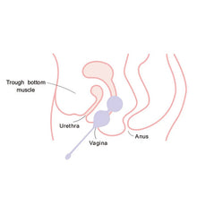 Load image into Gallery viewer, Women's Private Parts Postpartum Relaxation Recovery Training Female Care Shrink Ball